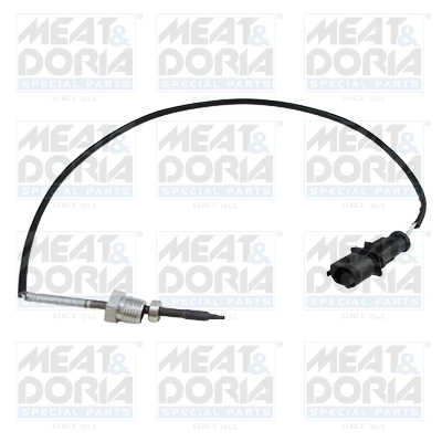 Sensor, exhaust gas temperature